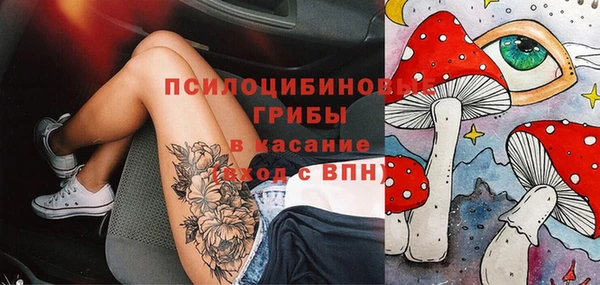 прущие крисы Арсеньев