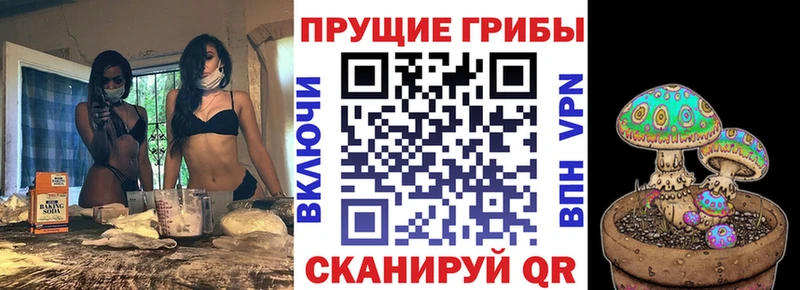Купить  Лахденпохья  Галлюциногенные грибы Magic Shrooms 